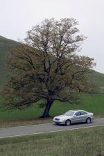 Mercedes-Benz E-Class 2002 года
